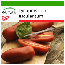 SAFLAX - Pomodoro San Marzano - 10 semi - Con substrato - Lycopersicon
