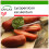 SAFLAX  - Tomate – Marzano - Lycopersicon - 10 Samen - Mit Substrat 1