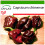 SAFLAX  - Chili – Chocolate - Capsicum - 10 Samen - Mit Substrat 1