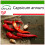 SAFLAX  - Chili – Cayenne - Capsicum - 20 Samen - Mit Substrat 1