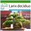 SAFLAX  - Lärche - Larix - 75 Samen - Mit Substrat 1