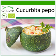 SAFLAX - BIO - Zucchina - Tondo di Nizza - 5 semi - Con substrato - Cucurbita