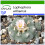 SAFLAX - Peyote - 20 semi - Con substrato - Lophophora 1