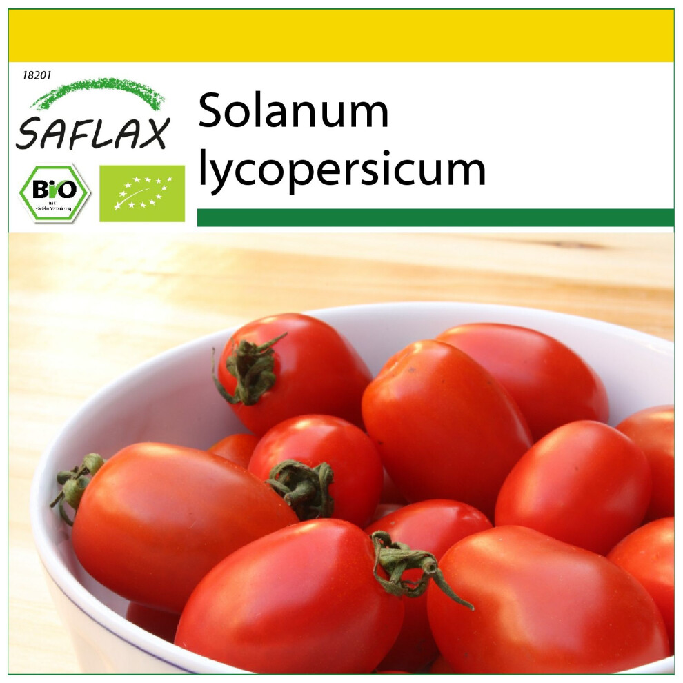 SAFLAX - Ensemble de culture - BIO - Tomate - Prince Borghese - 10 graines - Avec mini serre, substrat de culture et 2 pots - Solanum lycopersicum