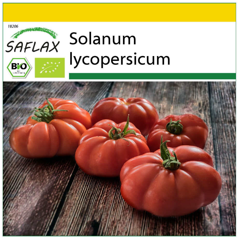 SAFLAX - Ensemble de culture - BIO - Tomate - Marmande - 10 graines - Avec mini serre, substrat de culture et 2 pots - Solanum lycopersicum