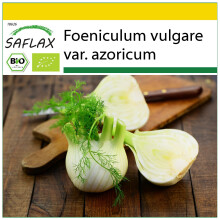 SAFLAX Anzucht Set - Knollenfenchel - Foeniculum - 100 Samen