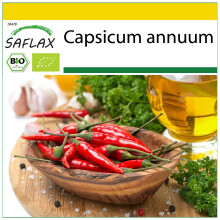 SAFLAX Anzucht Set - Chili – Cayenne - Capsicum - 10 Samen