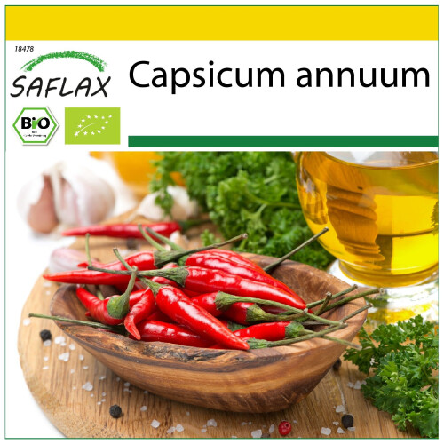 SAFLAX Anzucht Set - Chili – Cayenne - Capsicum - 10 Samen