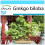 SAFLAX Geschenk Set - Ginkgo - Ginkgo - 4 Samen 1