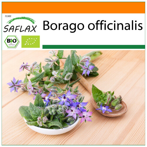 SAFLAX Garden in the bag - Borretsch - Borago - 40 Samen