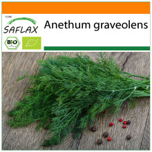 SAFLAX Garden in the bag - Dill - Anethum - 700 Samen