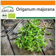 SAFLAX Garden in the bag - Majoran - Origanum - 700 Samen