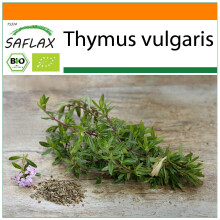 SAFLAX Garden in the bag - Thymian - Thymus - 800 Samen
