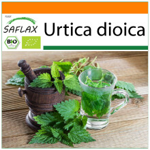 SAFLAX Garden in the bag - BIO - Ortica - 2000 semi - Urtica