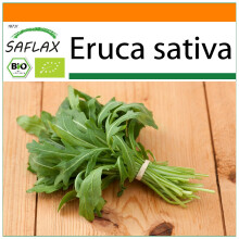 SAFLAX - Garden in the bag - BIO - Roquette - 3000 graines - Avec substrat de culture dans un sac pratique Ă montage automatique - Eruca sativa