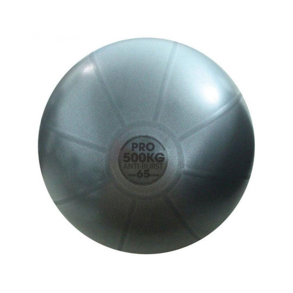 Fitness Mad Studio Pro Equipment Gym Ball Exercise Ball 500Kg Swiss Ball Only 65Cm Grey