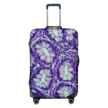 (Lieberkhun - Colon_5059) Travel Luggage Cover for Suitcases Bag Protector Washable Baggage Case- Fits 18-32 Inch