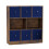 URBN Living (Rustic Brown Bookcase, Royal Blue Drawer) Asymmetrical 8 Cube Bookcase Shelf Storage Unit with 6 Fabric Drawer Inserts 2