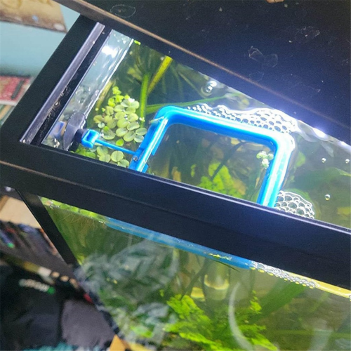 Fiskefodringsring Flydende foderautomat med sugekop, blå 2