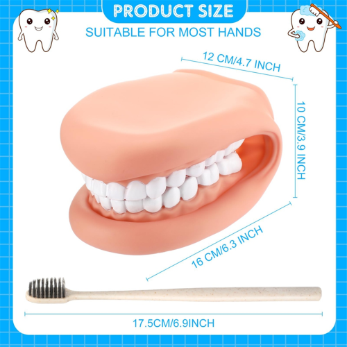 Marionnette à bouche avec langue et dents, modèle de bouche dentaire 1