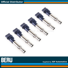 6X Beru Ignition Pencil Coil Packs 3.2 3.6 V6 - VW Audi - 022905715B