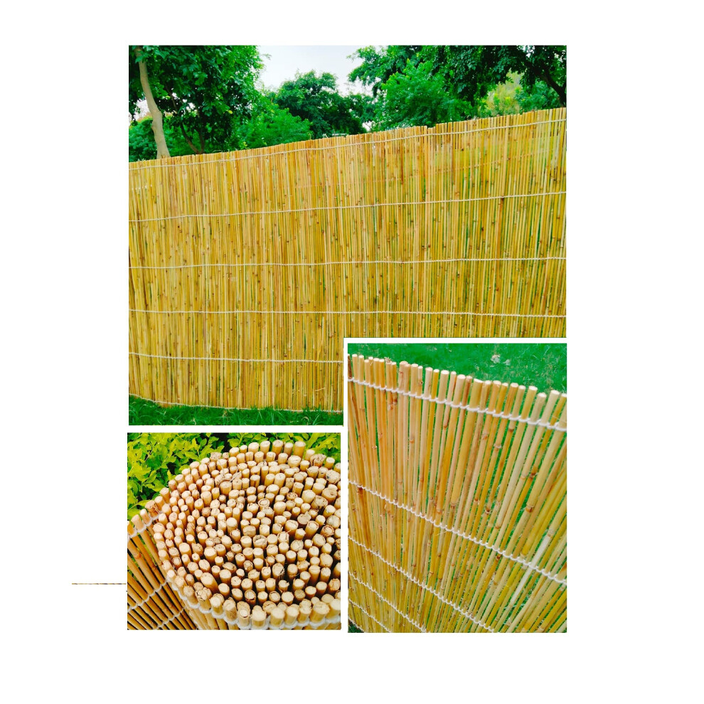 A2z Home Solutions New Natural Peeled Reed Screening Roll Garden Screen Fence Fencing Panel Privacy Fence Panels For Backyard Or Patio Windscreen 5481746398494