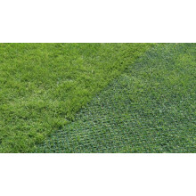 Medium Duty Grass Reinforcement Mesh GS640 (1m x 10m ? 640gsm) Turf Reinforcement Mesh | Ground Reinforcement Mesh
