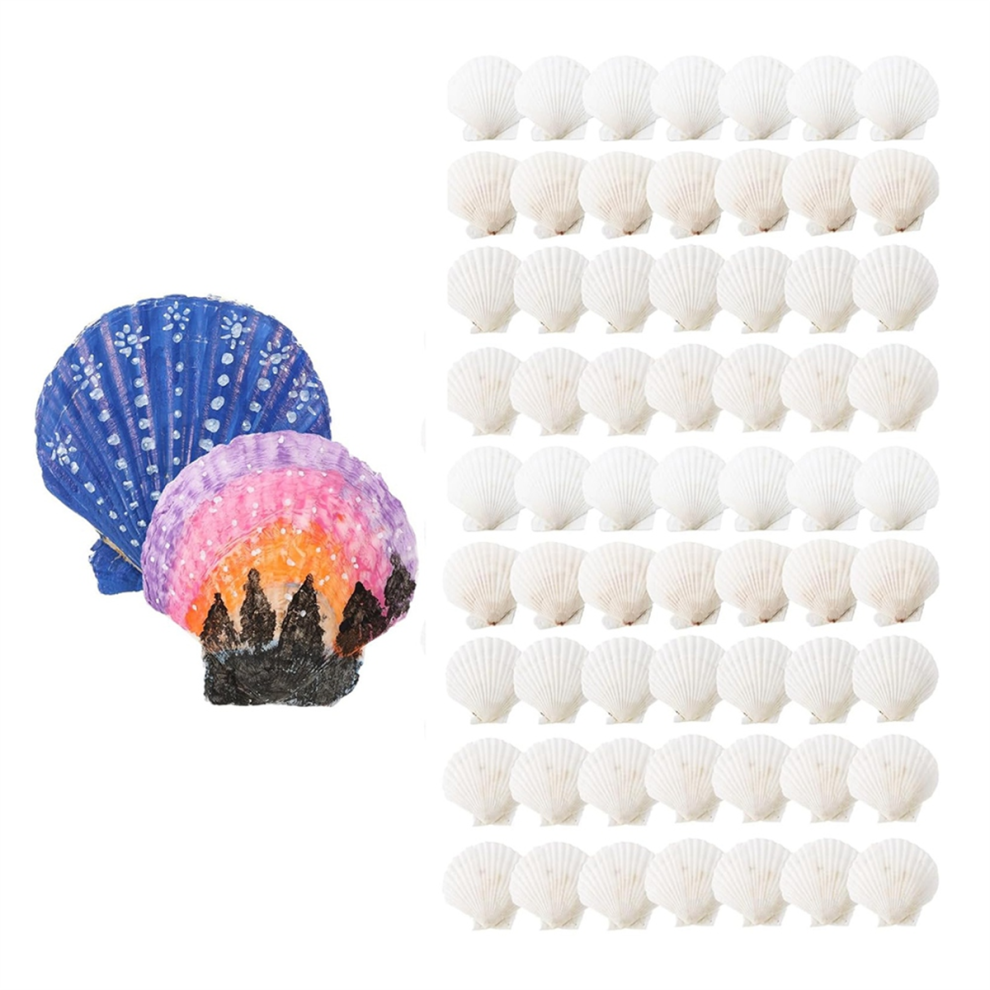 100 Pcs Sea Shell for Crafting Natural Large Scallop Shells White-image-OPC-PHPYGRQ-NEW