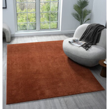 (TERRACOTTA, 120 x 160 cm) Comfy Washable Minimalist Modern Rug - Anti-Slip, Machine Washable, Low Pile - For Living Room, Bedroom, Hallway Runner