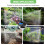 Reptile Humidifier, Misting System for Terrariums 8
