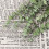 12Pcs Dried Eucalyptus Branches Greenery Stems,17 Inch 100% Real 5