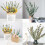 12Pcs Dried Eucalyptus Branches Greenery Stems,17 Inch 100% Real 4
