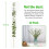 12Pcs Dried Eucalyptus Branches Greenery Stems,17 Inch 100% Real 9