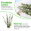 12Pcs Dried Eucalyptus Branches Greenery Stems,17 Inch 100% Real 7