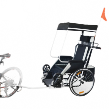 Ultimate Adult Bike Trailer for Home Convenience