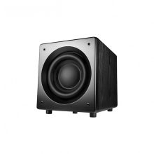 Oupushi SW100III 10-Inch 200W Home Theater Subwoofer with Ultra Low Bass & Built-In Amplifier