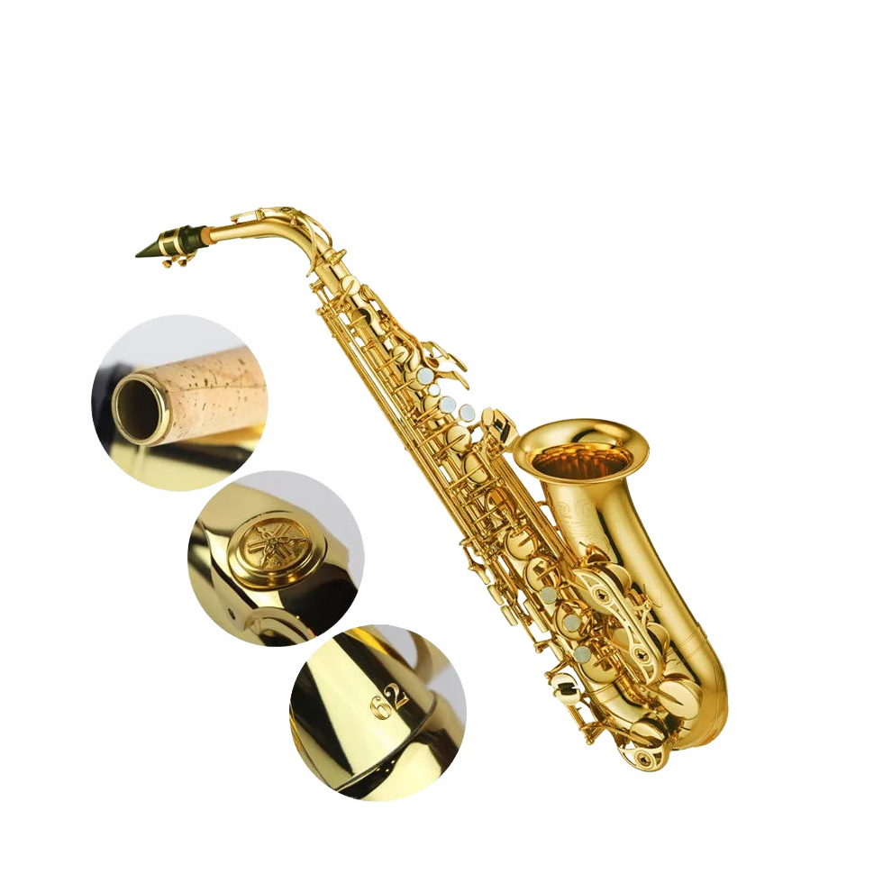Professional Alto Saxophone 62 Series - Lacquer Finish With Mouthpiece, Reeds, Neck, And Case Gold 313034333380