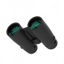 SVBONY SA205 10x42 ED Flachfeld - Binokular - IP67 wasserdicht BAK4 für Vogelbeobachtung, Sternenhimmel, Camping, Reisen und Astronomie