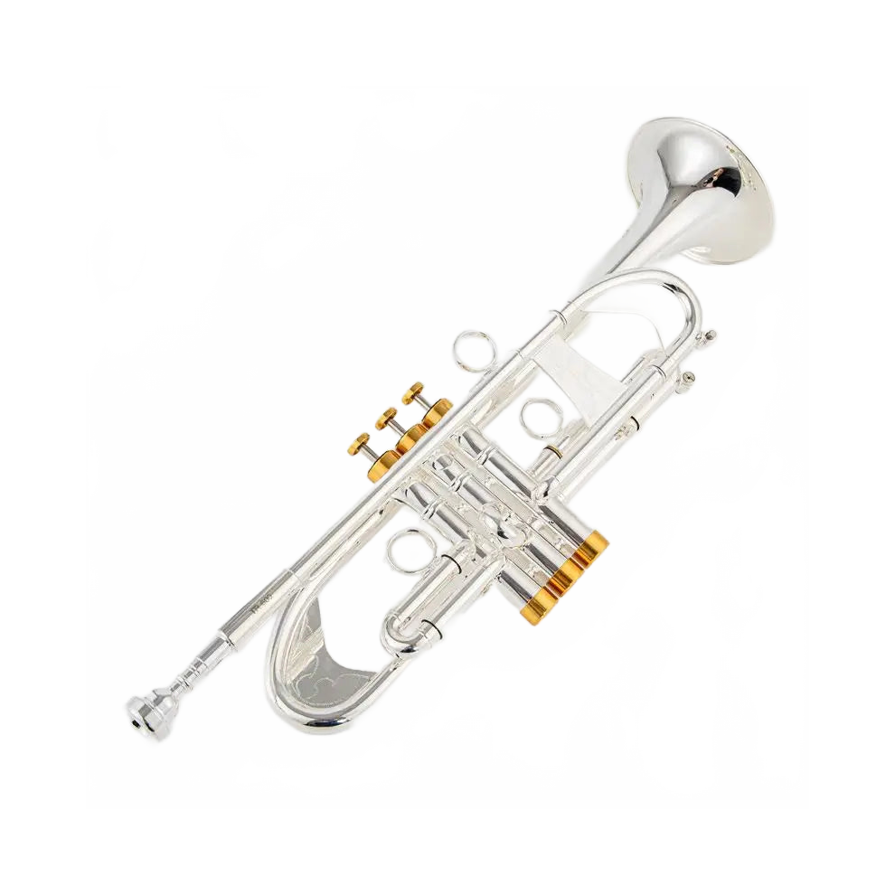 Professional Tr600 Bb Small Trumpet With And Keys - Includes Case Silver/Gold 744110166477