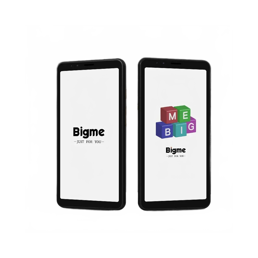 Bigme Hibreak E-Ink Smartphone & Ebook Reader - 5.84 E-Ink Screen, Android 11, Kindle App Compatible 726084565876