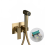Luxurious Brushed Gold Bidet Sprayer Set with Concealed Box - Dual Hot & Cold Functionality 1