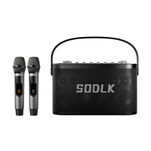 160 W Hochleistungs - Bluetooth - Lautsprecher - Tragbares Heim - Karaoke & Outdoor TWS Subwoofer mit kabelloser Soundkarte