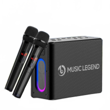300W draagbare Bluetooth-luidspreker met subwoofer en microfoon - hoogwaardig stereogeluid voor thuis, buiten, auto en karaoke