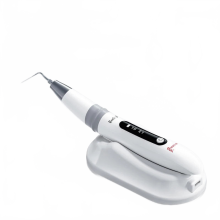 Woodpecker Dental Ultrasonic Activator: Advanced Endodontic Tool with Hot Standby & Irrigation Modes for Clinics