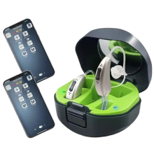 Rechargeable 20-Channel Digital Hearing Aid for Seniors - Portable, Adjustable BTE Sound Amplifier