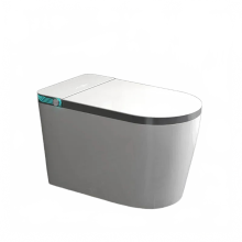2024 High-Tech Smart Toilet - CE Europe White Ceramic Intelligent WC