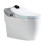 Smart Grey Ceramic One-Piece Toilet with Automatic Flush and Modern Design 1