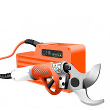 36V draadloze elektrische snoeischaar met verlengstok voor moeiteloos boom- en tuinonderhoud