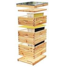 Premium Langstroth & Australian Beehive - Durable Fir/Pine Wood Construction for Beekeeping Enthusiasts