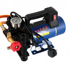 High-Pressure Electric Sprayer Pump: Portable Longmai Double Cylinder Plunger for Fruit Trees (12V-220V)